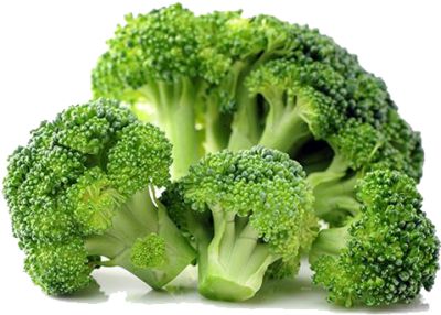 Broccoli  1-piece