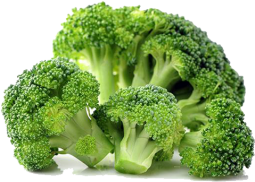Broccoli  1-piece
